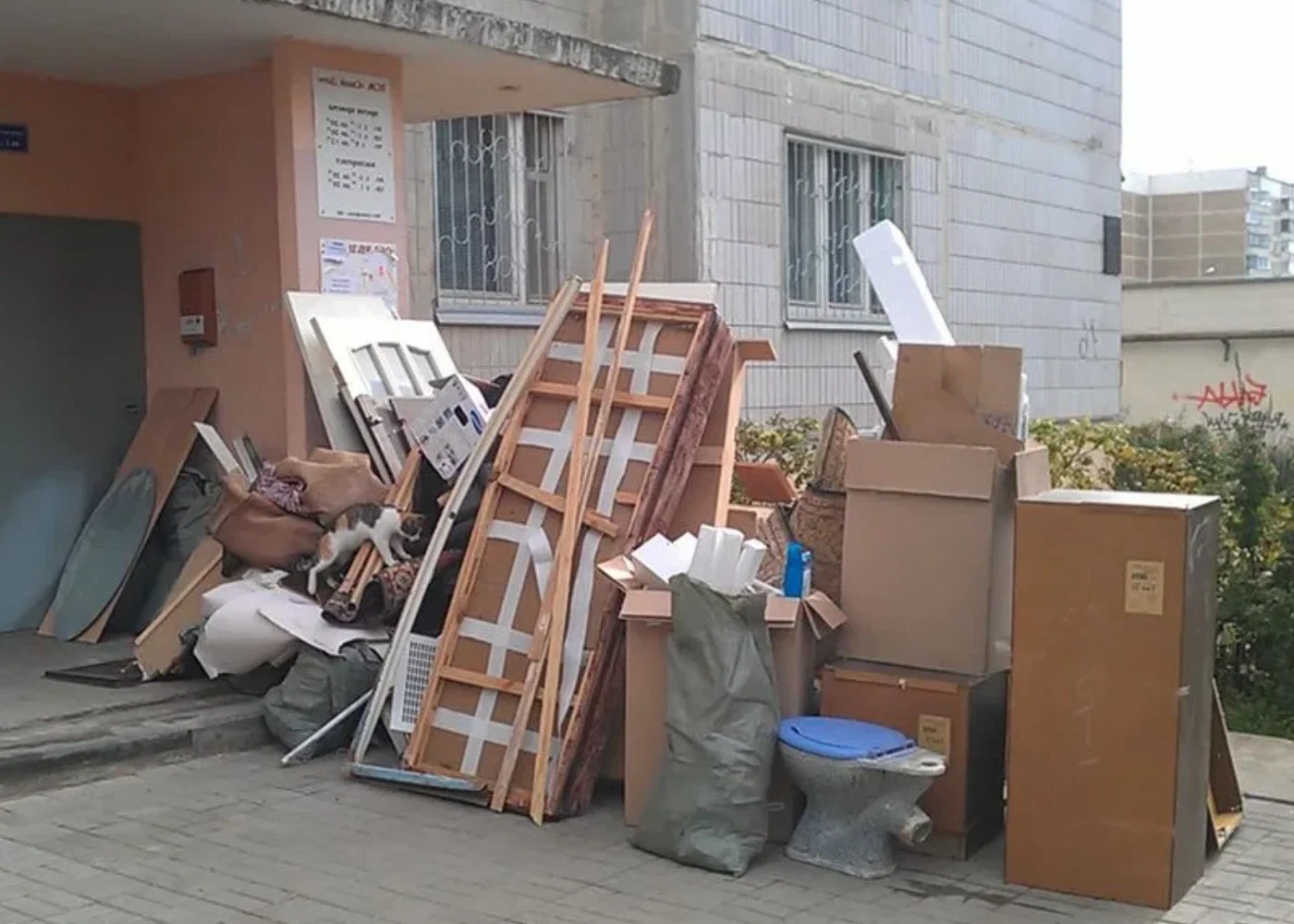 Профессиональный вывоз мусора из квартиры в Люберцах в октябре
