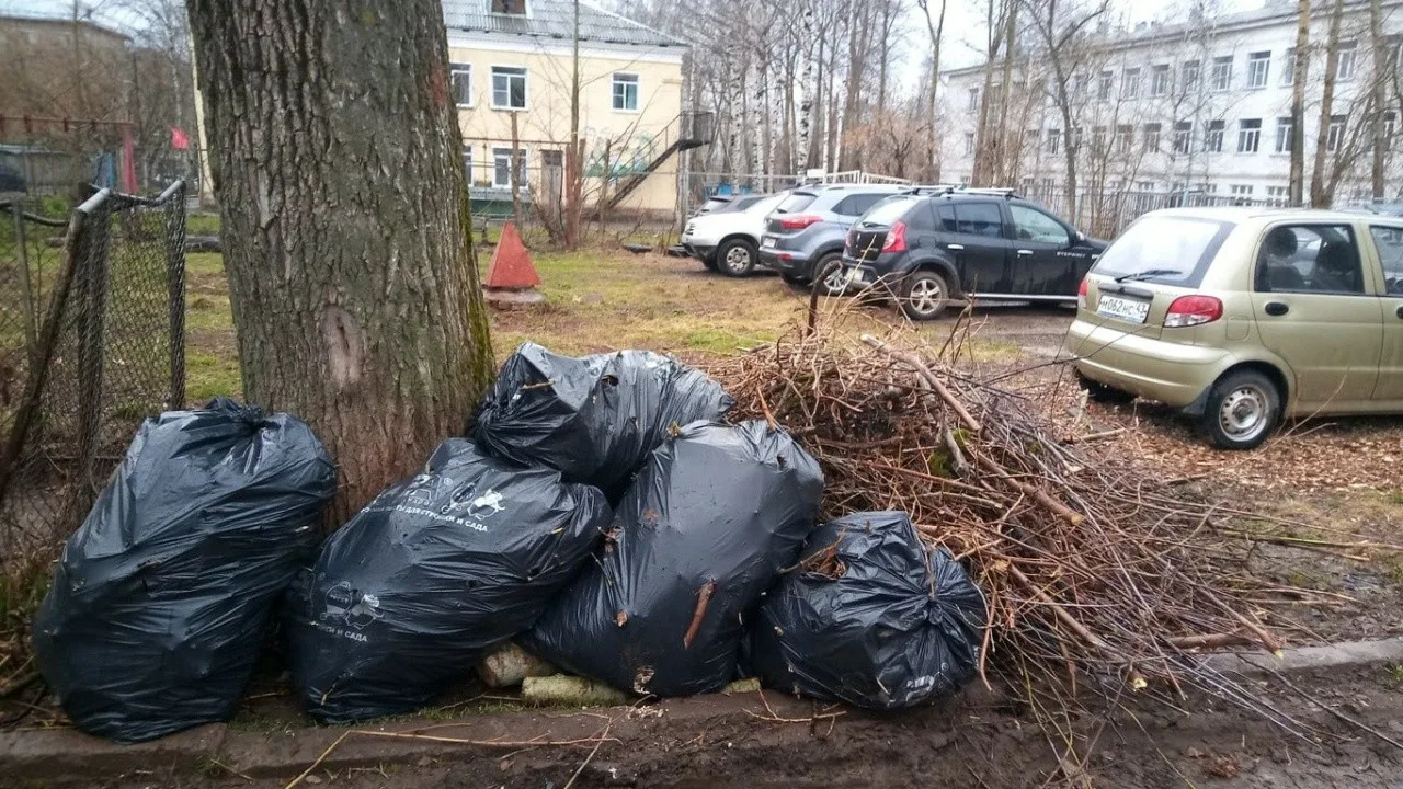 Вывоз мусора после субботника в Люберцах от ПроМусор – уборка и утилизация отходов от 2472 руб