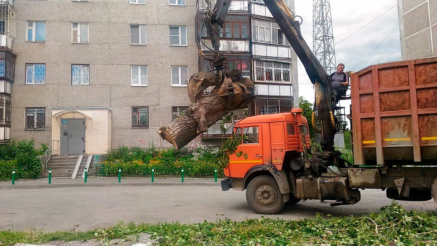 Вывоз спиленных веток и деревьев в Люберцах от ПроМусор: порубочные остатки, утилизация, цена от 3051 руб