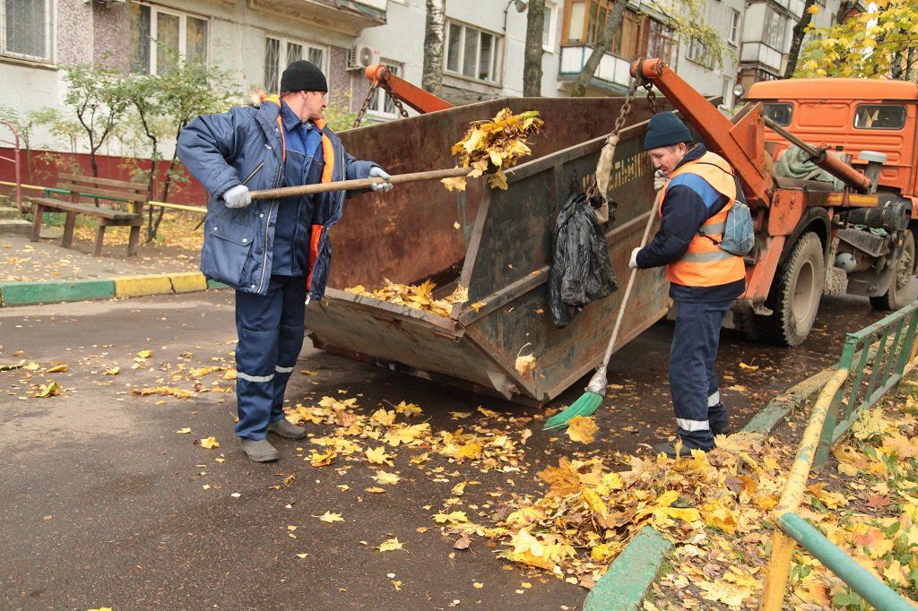 Вывоз опавшей листвы и растительного мусора в Люберцах от ПроМусор – цена от 4734 руб., быстрая уборка и утилизация